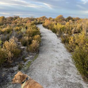 Alignment Retreats Thompson Beach