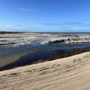 Alignment Retreats Thompson Beach